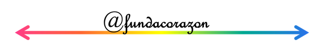 separador fundacion.png