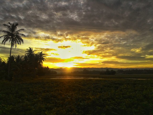 anwarabdullah