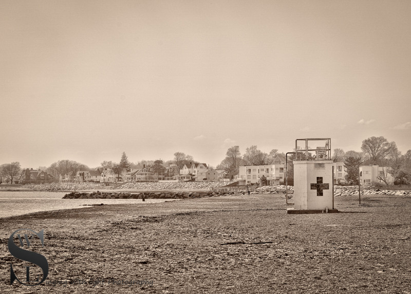 monochrome monday-2.jpg