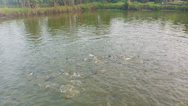 IMG_20231102_170244_1.jpg