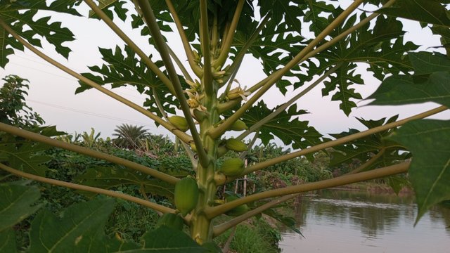 IMG_20231007_175006_0.jpg