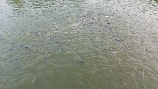 IMG_20231102_170232_8.jpg