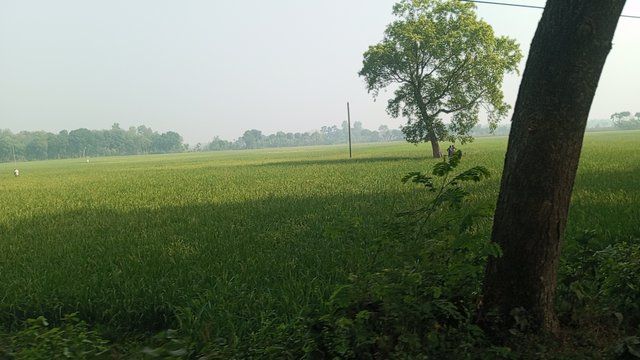 IMG_20240418_084702_5.jpg