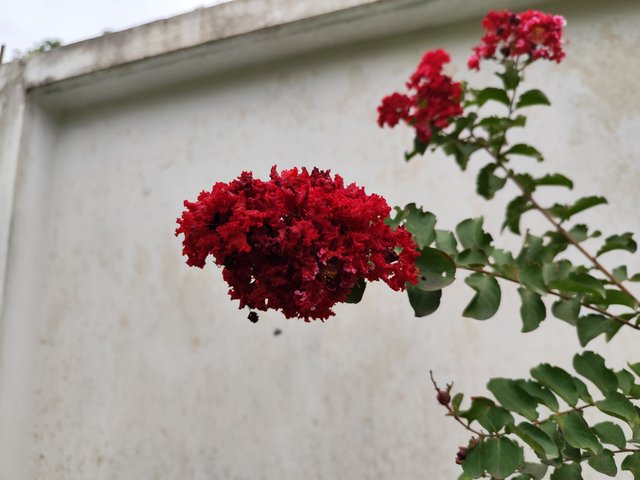 IMG_20250714_180455_2.jpg