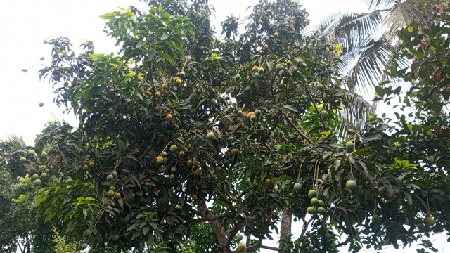 IMG_20230608_072810_2.jpg