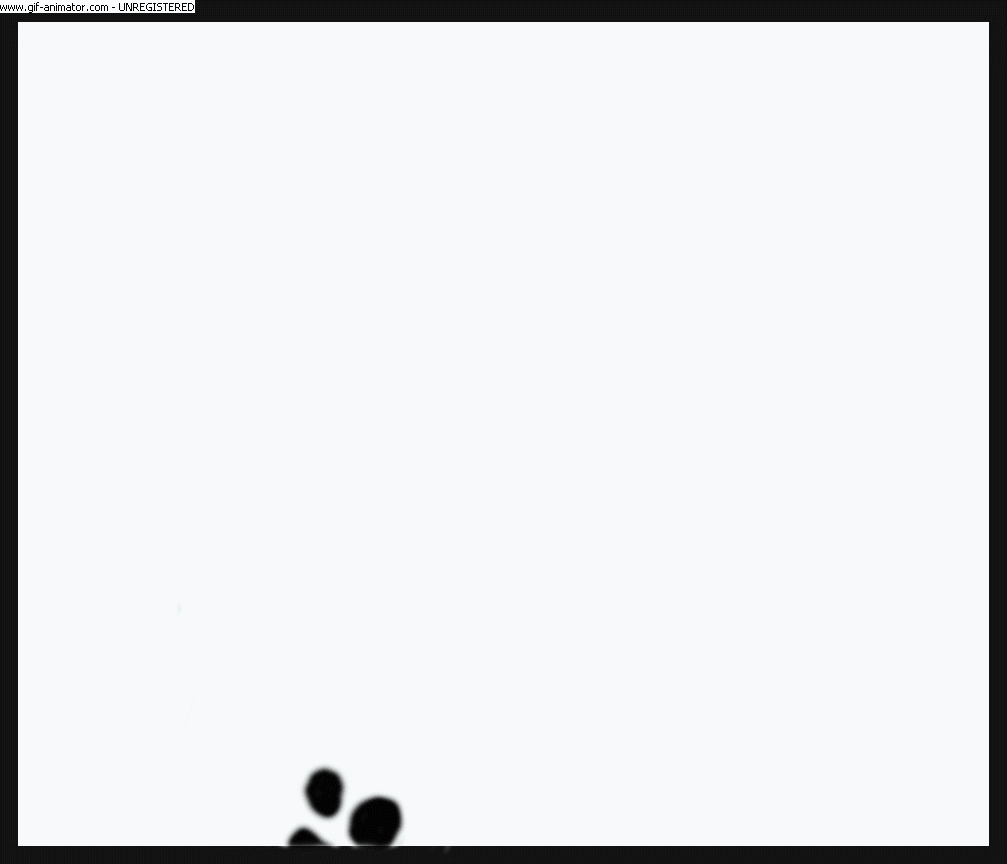 THE INVISIBLE PET.gif