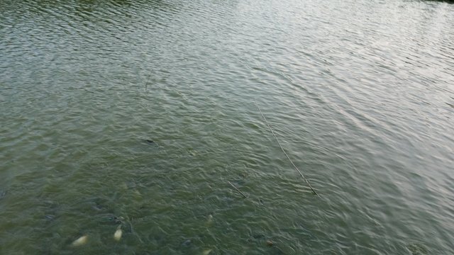 IMG_20230802_184208_9.jpg