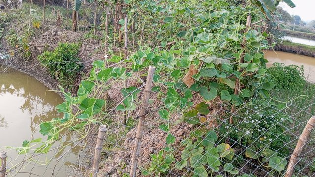 IMG_20240216_172859_1.jpg