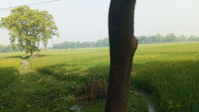 IMG_20240418_084711_5.jpg