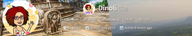 dinoli banner org.png