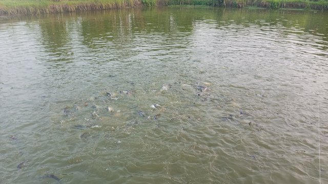 IMG_20231102_170245_1.jpg
