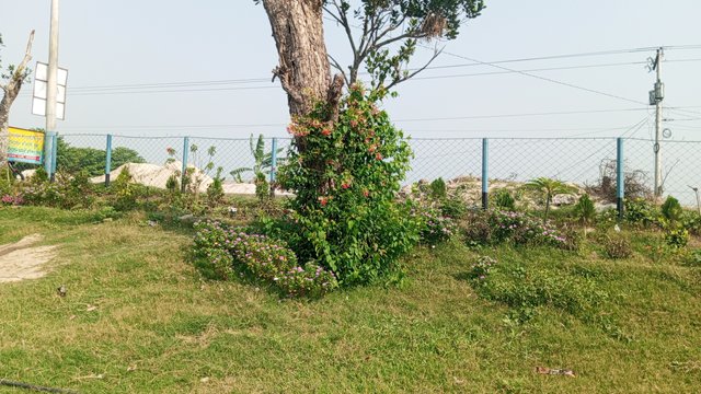 IMG_20230405_090952_3.jpg