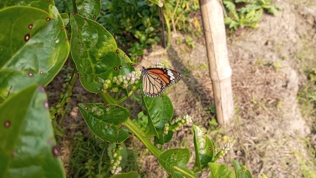 IMG_20231212_142722_3.jpg