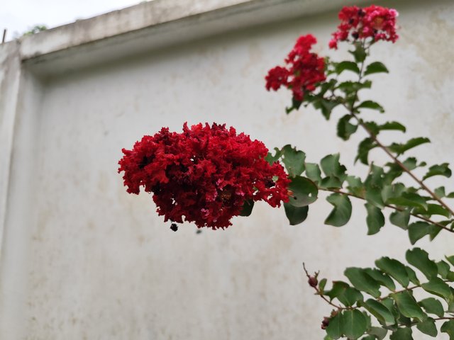 IMG_20250714_180455_1.jpg
