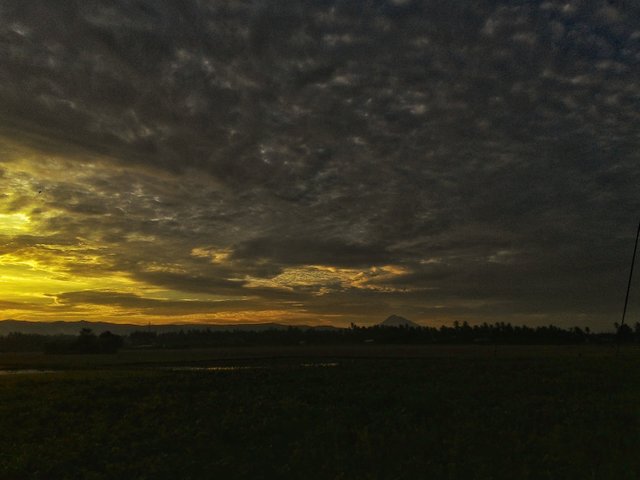 anwarabdullah