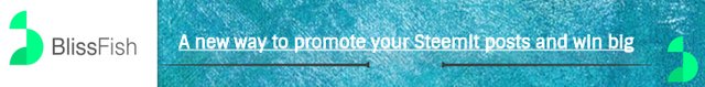 Bliss Fish Banner