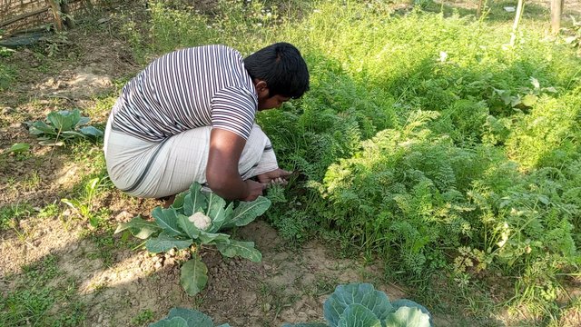 IMG_20240208_091055_8.jpg
