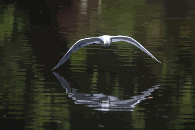 DSC_8069-2_vectorized.jpg