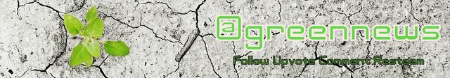 Green News Footer.jpg