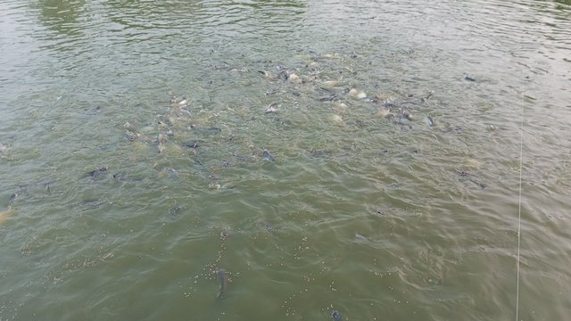IMG_20231102_170233_9.jpg