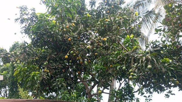 IMG_20230608_072818_1.jpg