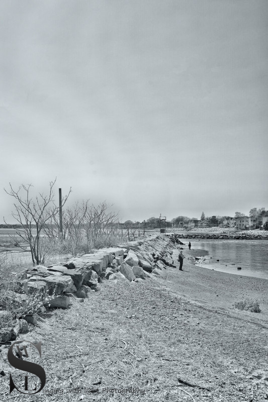 monochrome monday-3.jpg