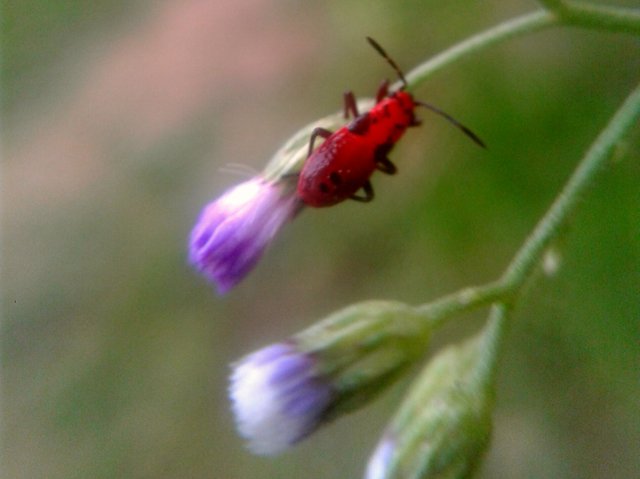 2018-05-29 21.23.58.jpg