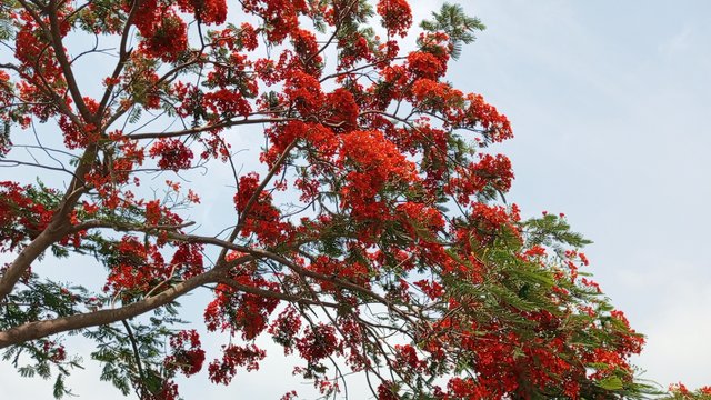 IMG_20240505_092633_4.jpg