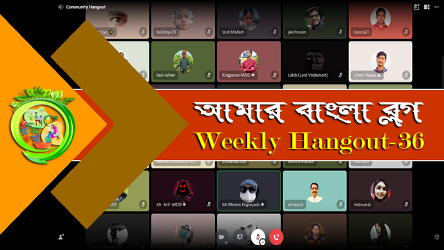 weekly hangout 36.png