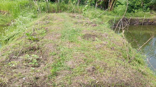 IMG_20230705_091037_4.jpg