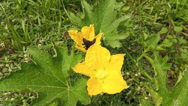 IMG_20230521_093759_8.jpg