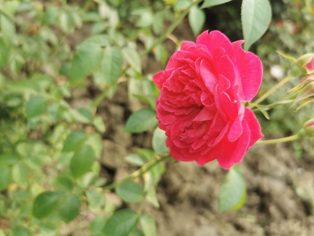 IMG_20231121_160143_1.jpg