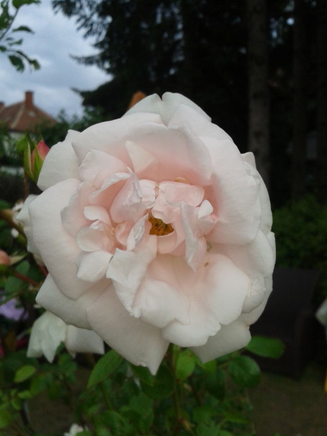 2014-05-30 17.26.52.jpg