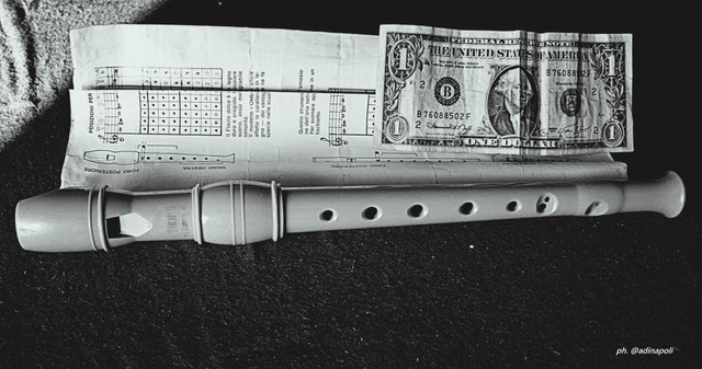 flauto e dollar1b.JPG