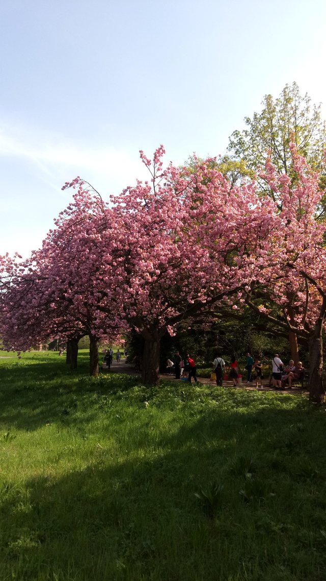 2018-04-22 15.28.35.jpg
