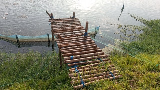IMG_20231121_074547_4.jpg