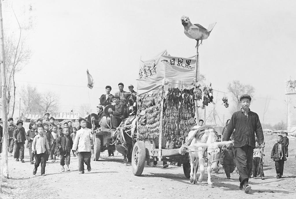 Воробьев гонять. Китай истребление Воробьев 1958. Уничтожение воробьёв в Китае 1958.