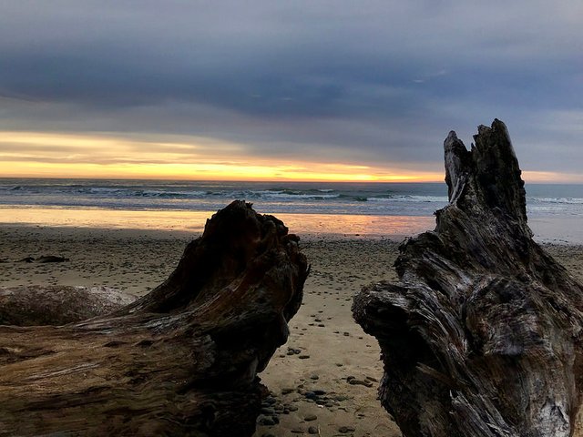 Travel: Smelley beachlife