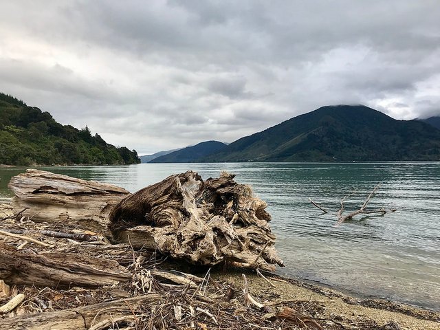 Travel: Setting sail for new adventures ⛵