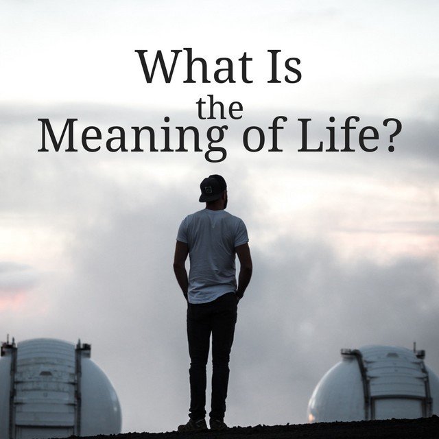 Have this life of mine. Meaning of Life. What is Life?. What is the meaning of Life. What is the meaning of my Life.
