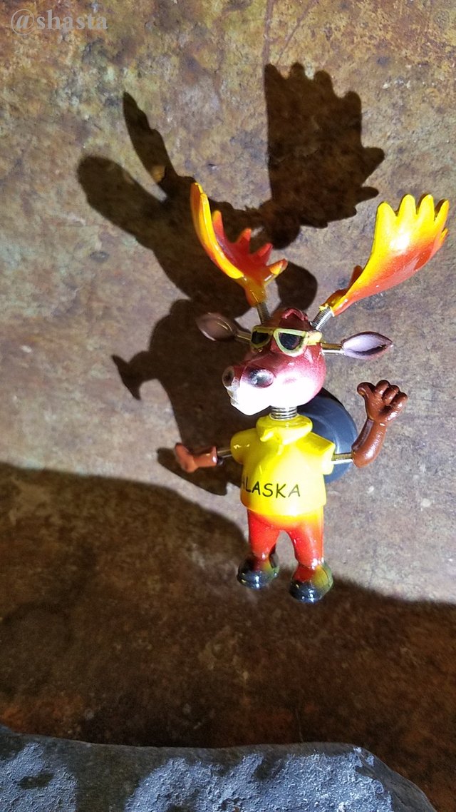 shasta2019march21st47moosebob3io.jpg