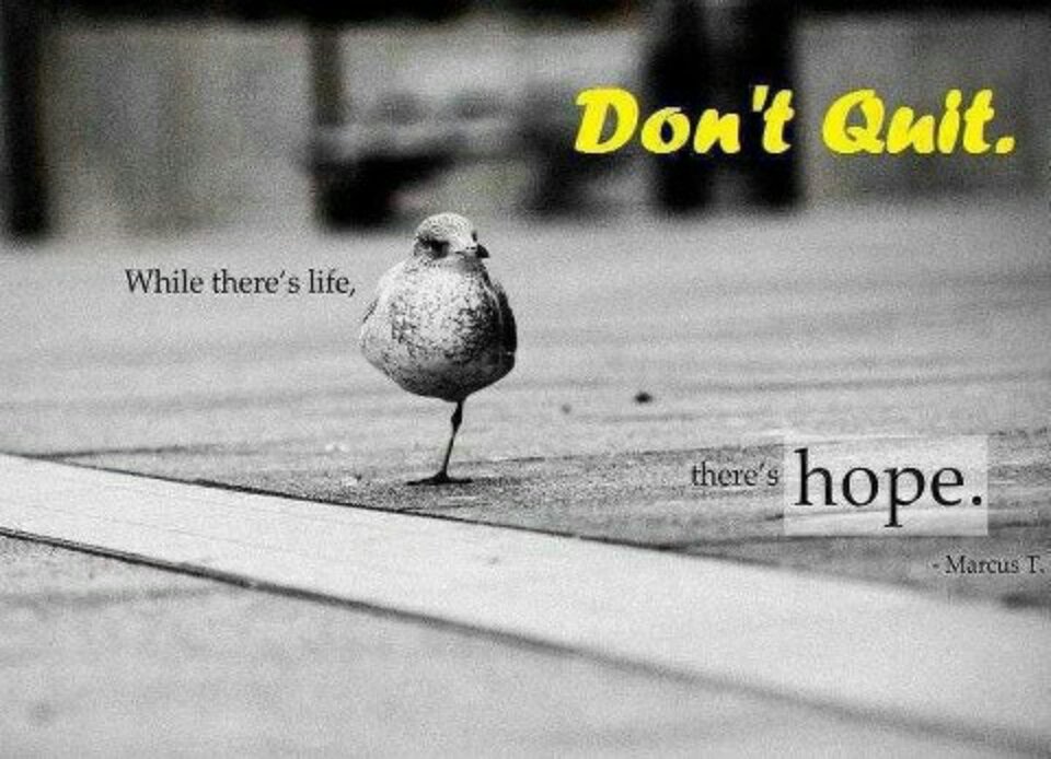 While there is life there is. Where there's Life, there's hope. Hope in Life. Hopeful picture. Hope picture.