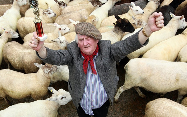 Daily Fun Facts #4: Sheep Dung Spitting 101 — Steemit