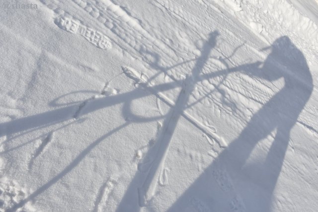 shasta2019jan8thsnowballfight3io.jpg