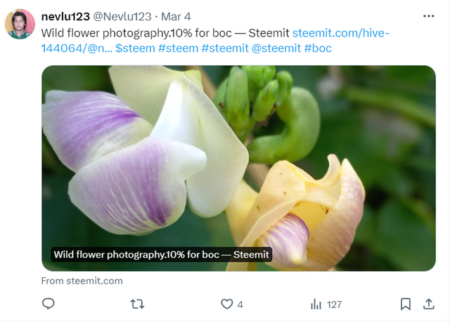 Screenshot 2024-03-07 155831.png