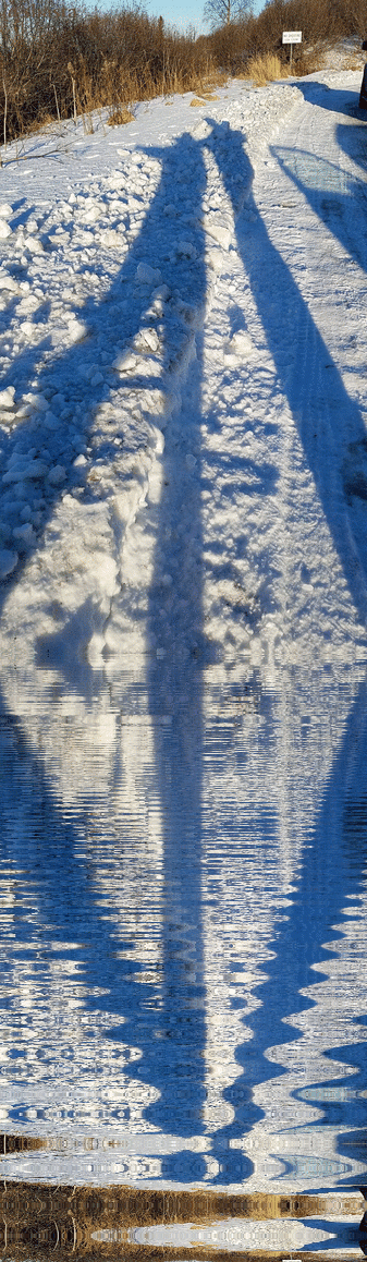 shasta2019jan23rd47twopeople11io.gif
