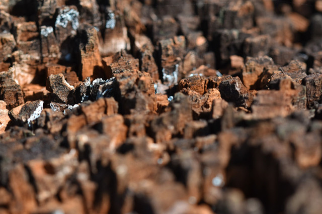 rust wooden pole 1 macro.jpg