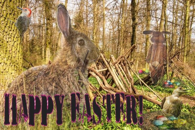 ostern5 final cut komplett.jpg