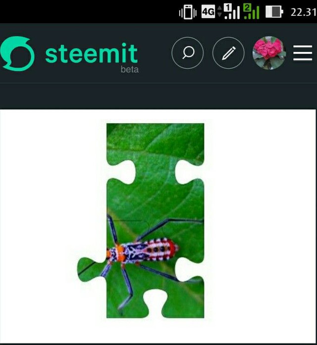Screenshot_2018-04-16-22-31-54_1.jpg