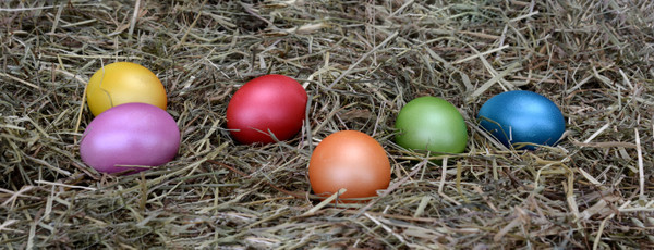 bright-colorful-colourful-356339.jpg